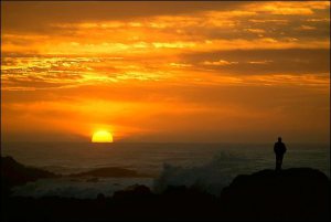 carl rogers apus de soare