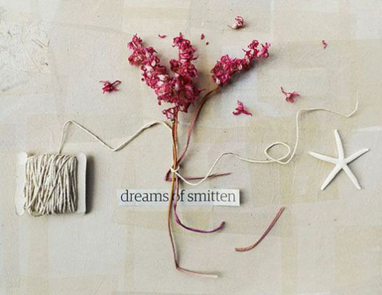 dreams of smitten by wild goose chase.