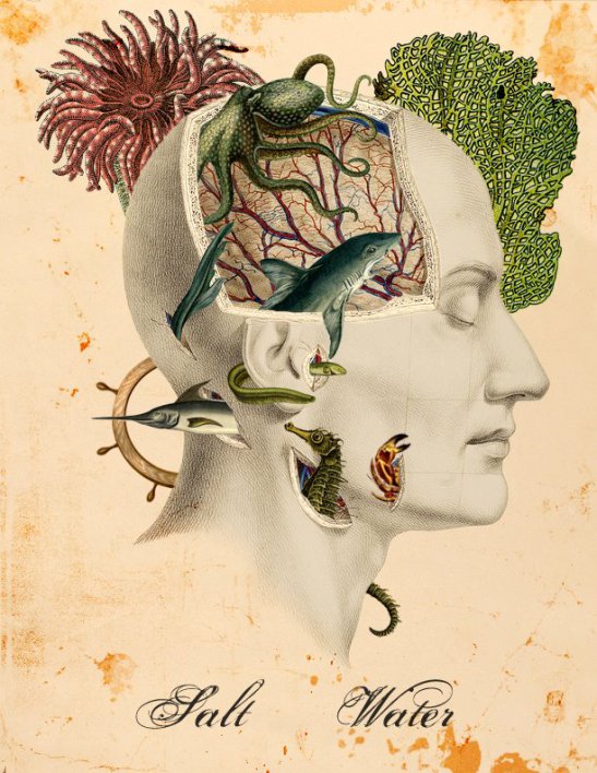 Michele Parliament b