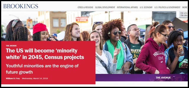 US-Minority-white-in-2045.jpg